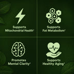 Moringa - Miracle Tree of Life