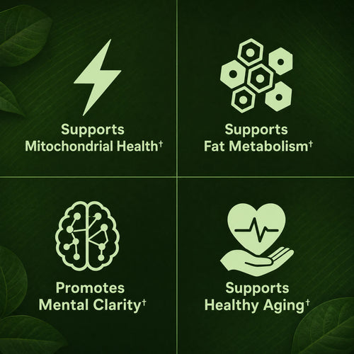 Moringa - Miracle Tree of Life