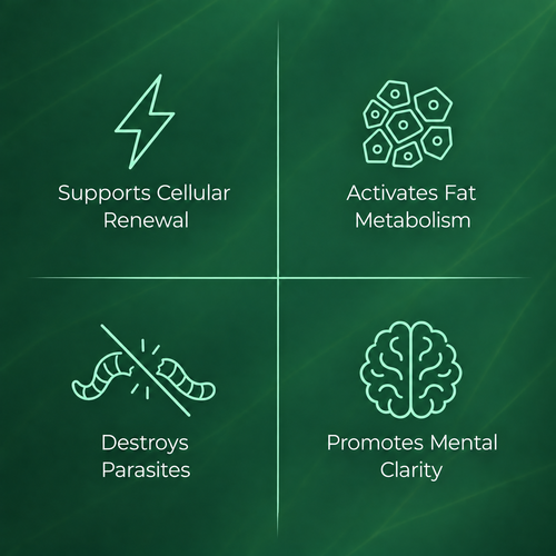 Moringa - Broad